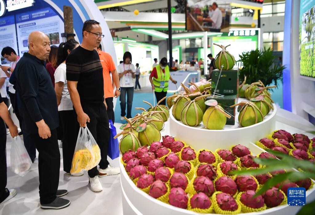 菠菜导航网最新推介